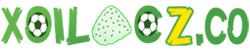 người vô tri